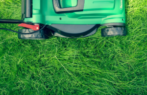 Pros and Cons of Battery-Powered vs Gas Lawn Mowers