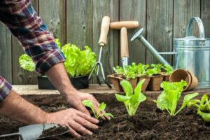 5 Tips To Help You Make The Most Of A Small Garden