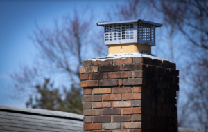 Bird Control: How To Keep Animals Out Of Your Attic And Chimney