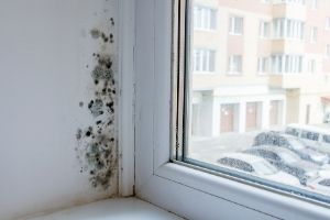 Consequences of Too Much Humidity in the Home