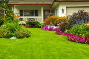 Putting Your Yard's Health to the Test: 7 Steps for a Lush Lawn 