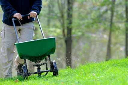 HomeZada Home Maintenance Tip:  Fertilize Your Lawn