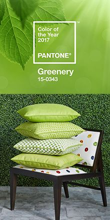 2017 Pantone Color 2017 Pantone Color
