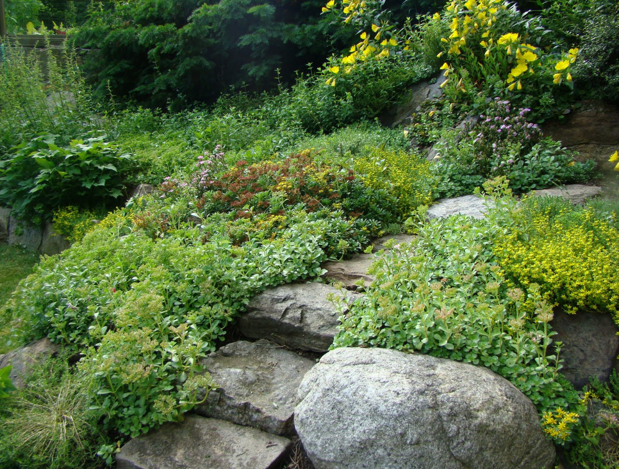 Quick Guide to Creating Your Own Rock Garden