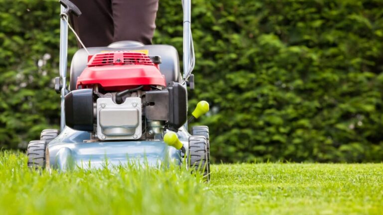 Lawn Care Tips For New Homeowners