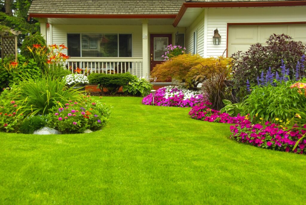 Expert Tips to Keep Your Lawn Green and Healthy