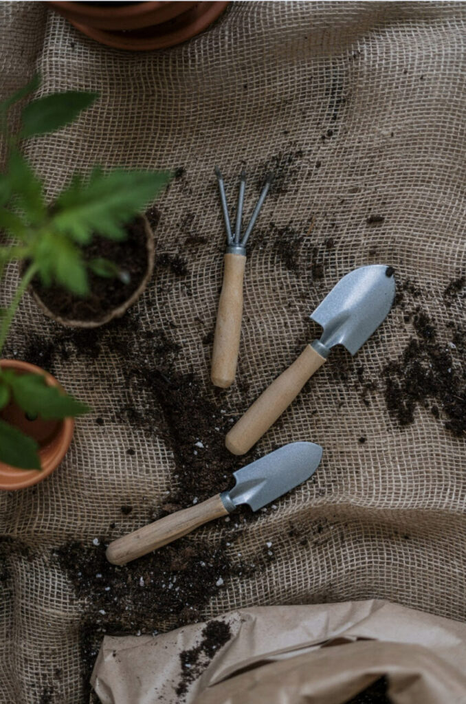 Photo by cottonbro studio: https://www.pexels.com/photo/top-view-photo-of-gardening-tools-4503269/